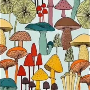 Meet your Posher, Abbey